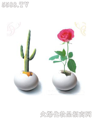 �Ϻ���������Ƽ����޹�˾����ǻ�ޏ�(f��)3��ɆT