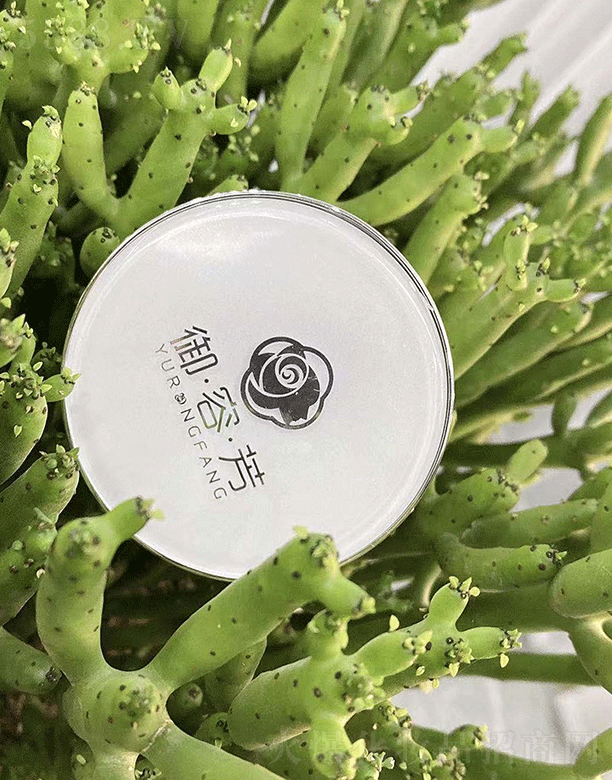 �K�݊y��������Ƽ����޹�˾�����ݷ��p͸�o覚�|˪