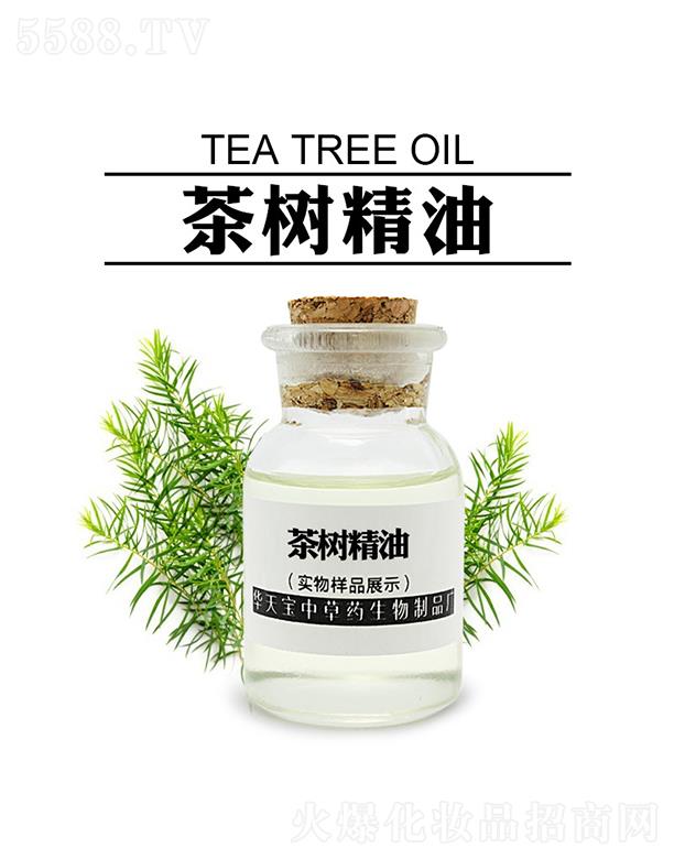 �������A�쌚�в�ˎ������Ʒ�S���A�쌚��侫��