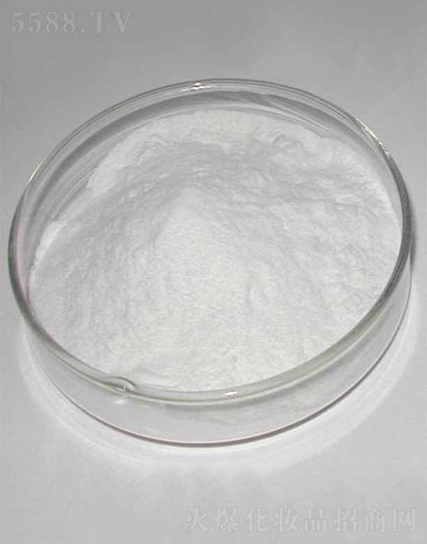 �ɶ������������޹�˾������-9/������/������