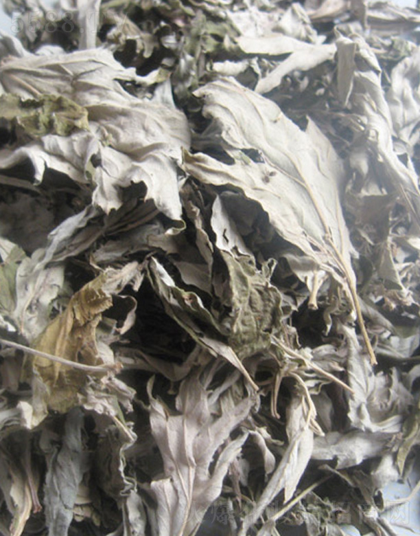 ���(y��ng)��������Ʒ���޹�˾���������r���� 500g