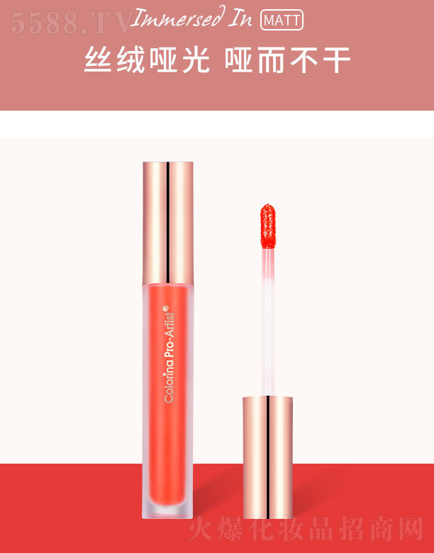 �㽭�����Ƽ����޹�˾�������A�����F�z�q����-Ů���t