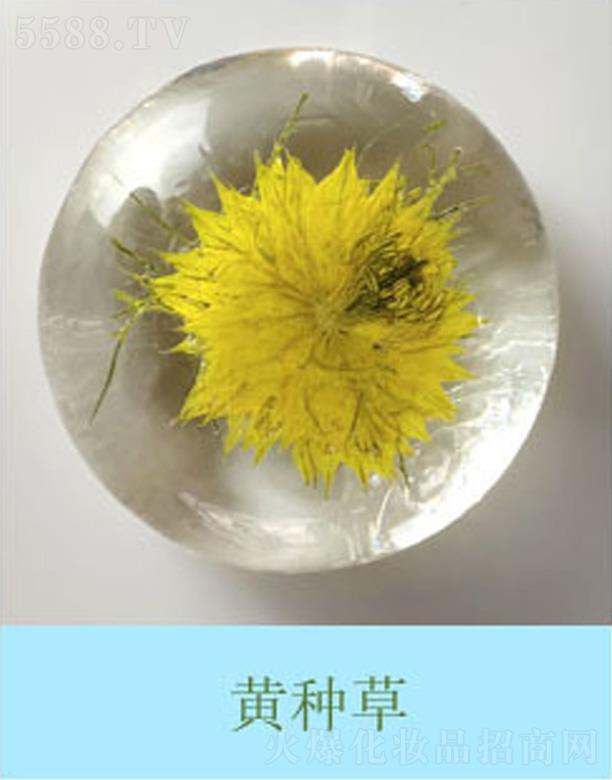 �V���к����m����Ƽ����޹�˾���������r�����S�N��