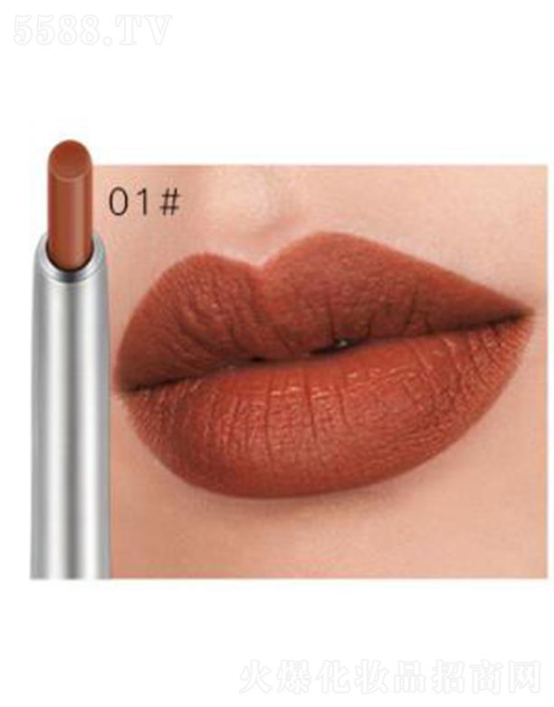 ���ڐ�ӯ�Q�����޹�˾��Pudaier���w���ⴽ���P01#