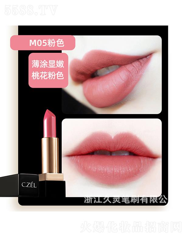 �㽭���`�Pˢ���޹�˾��CZEL����p���F�д���M05��ɫ