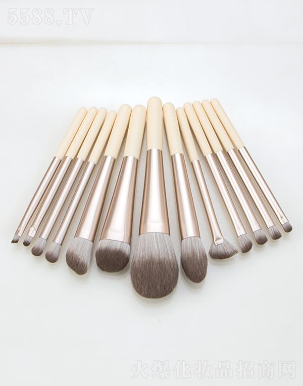 ���ϴ��»��y�þ����޹�˾��������-13֧���yˢ��ܛ��ˢ-�۵�ˢɢ����Ӱˢȫ��ˢ�����y����