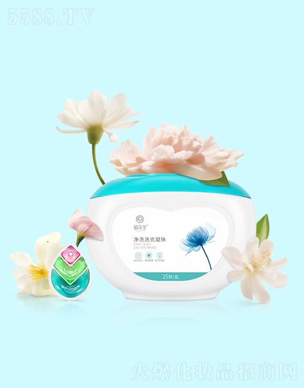 �V�|����������Ƽ����޹�˾����������nϴ������ 300g(25�w)