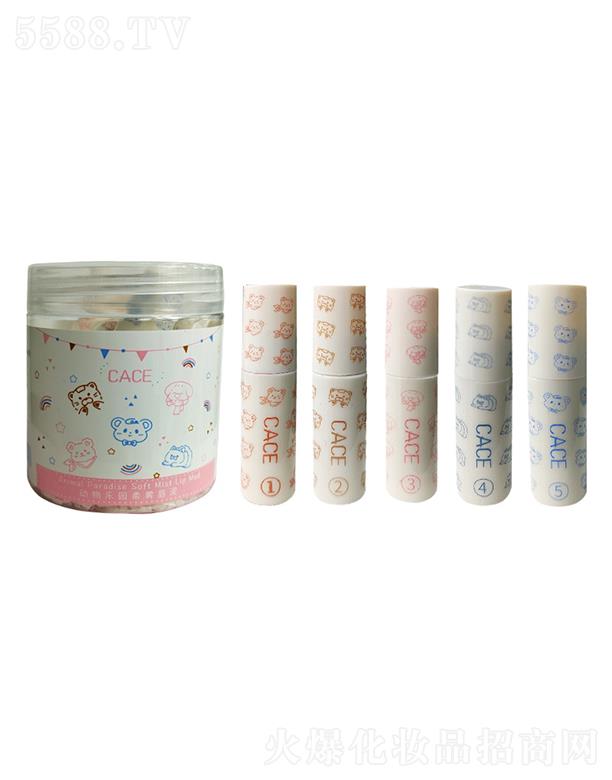 �V��ޱ�л��yƷ���޹�˾��CACE����@�������b �z�q���Բ��׵�ɫ�W(xu��)�����ƽ�r�������bŮ