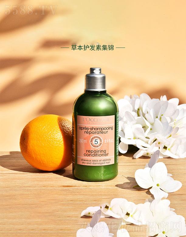 ���_��˹�W�浤�Q(m��o)�ף��Ϻ������޹�˾���W�浤5��1�ݱ������o(h��)�l(f��)��