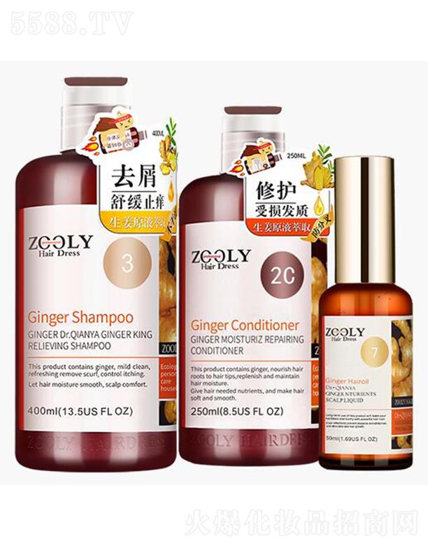 �ɶ�׿�{(l��n)���̄�(w��)��Ϣ��ԃ���޹�˾��ZOOLY-׿�{(l��n)��ȥмֹ�W��ͥ�o(h��)���׽M��3֧�b��