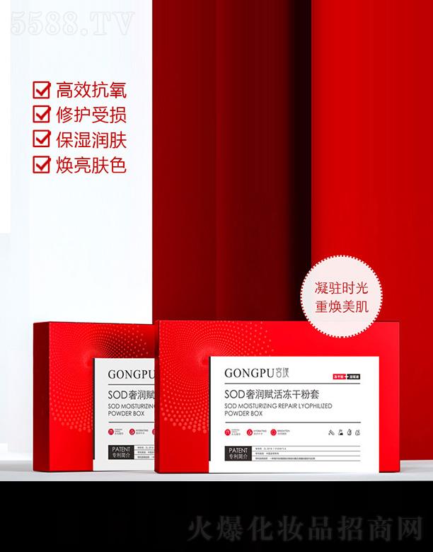 ���� (�V��)������ԃ���޹�˾���m�GONGPUSOD�ݝ��x����ɷ���