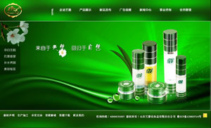 ɽ�|ˇ�Ż��yƷ����؟�ι�˾