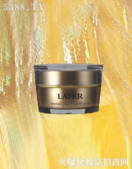 ���س������o(h��)�̝�(r��n)˪