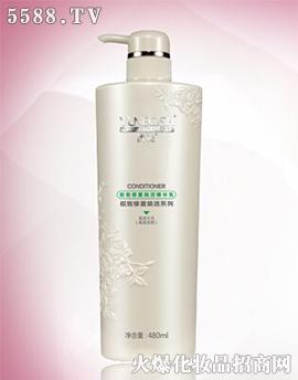 �O���ޏ�(f��)�Q��A��480