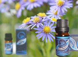 �Ϻ��ض���(gu��)�H�Q(m��o)�����޹�˾