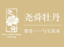 �ʝɈ�˴ĵ������Ƽ����޹�˾