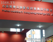 ����ޱ��ؐ컿عɼ��F���޹�˾¡��������