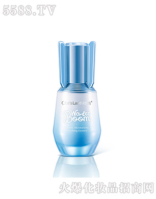 ���ޢ�����ˮ�沿���A¶ԭҺ