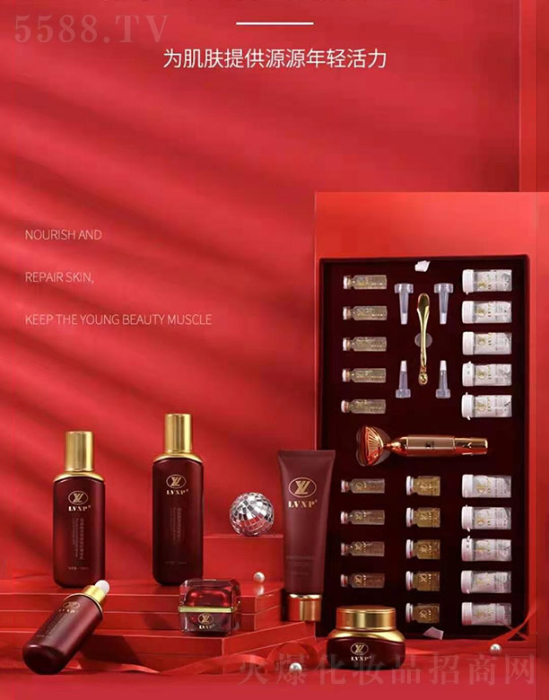 �׽�(j��)�����݌��׺�