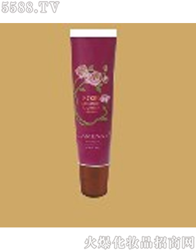 ���Ę�õ�屣����