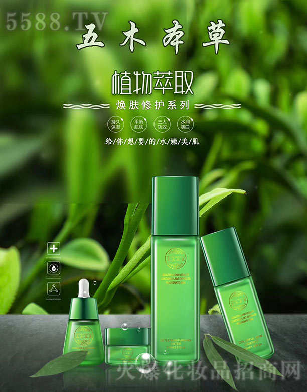 ��ľ���ݟ��w���oϵ��