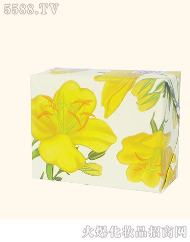 �����Ҋ���ֹ���