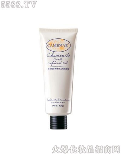 ���Ę���ʾ�������wȥ���|(zh��)���z