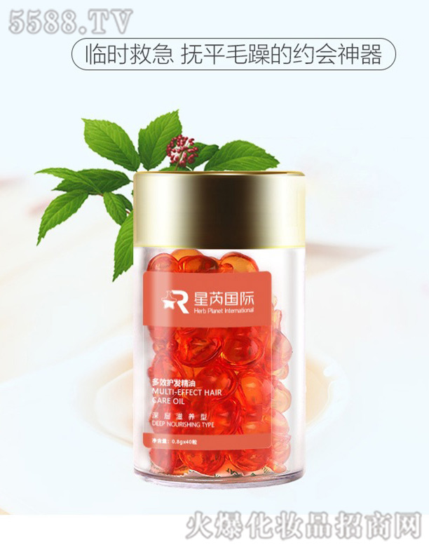 ����Ħ����o�l(f��)�����z��