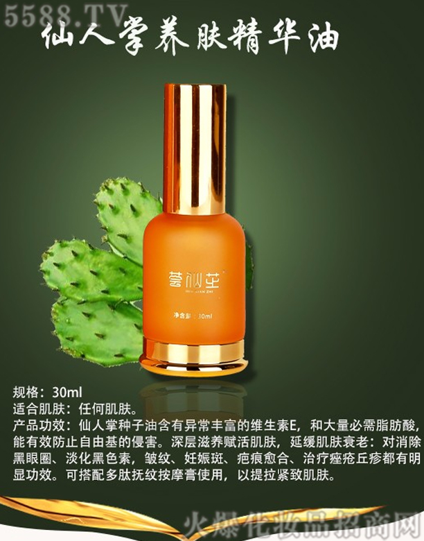 �C��֥�����ƾ��A��