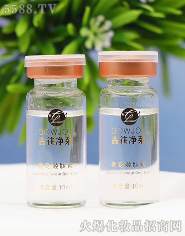 �������R�݌������؆�֧