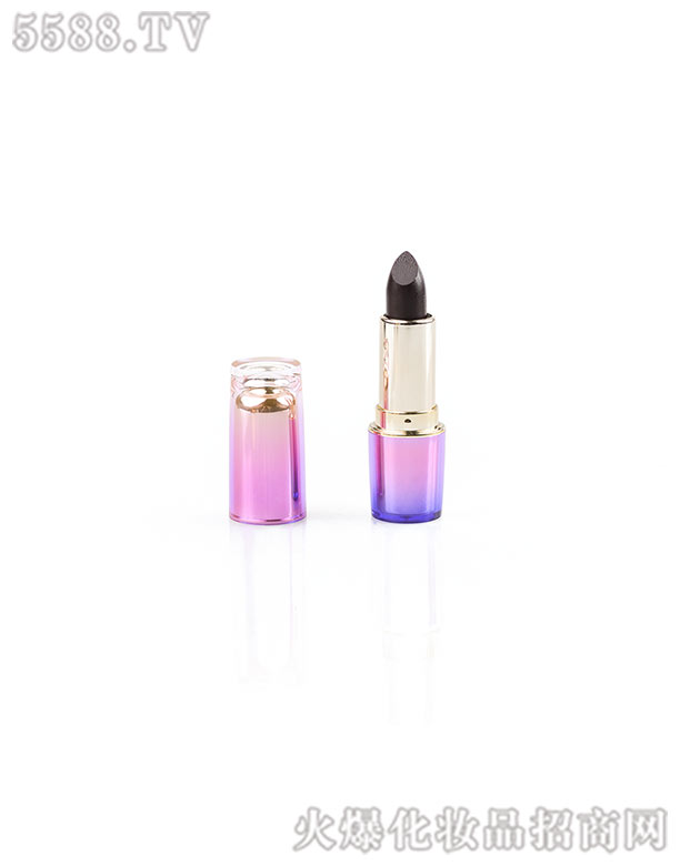 ��ɫ�ڹ����ڼt