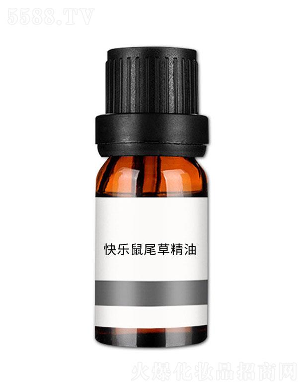 ���n�옷��β�ݾ���