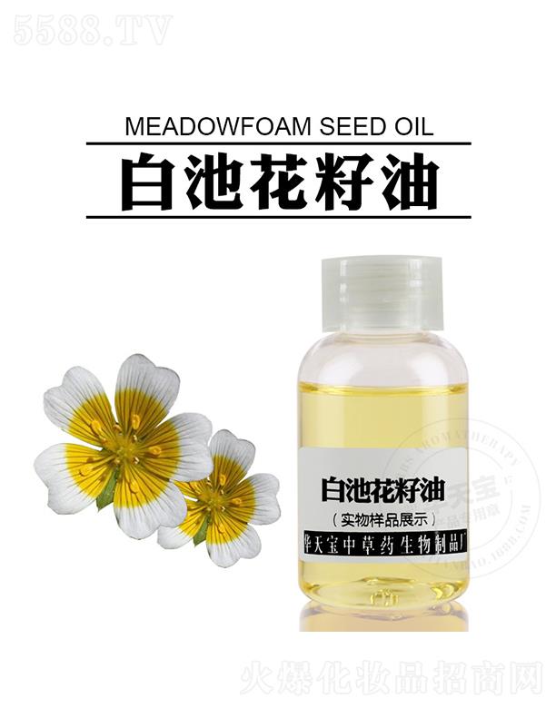 �A�쌚�˽�������