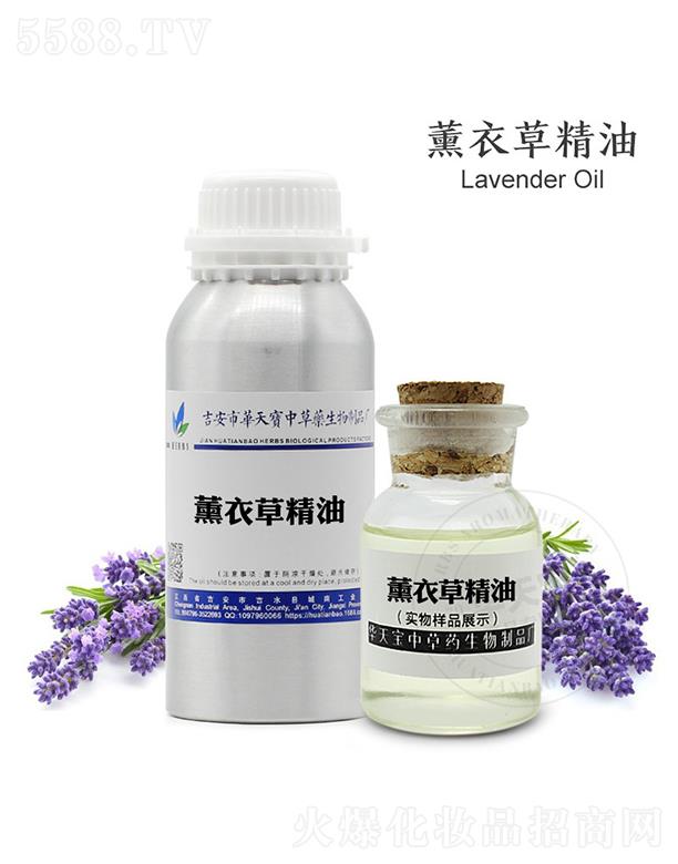 �A�쌚޹�²ݾ���