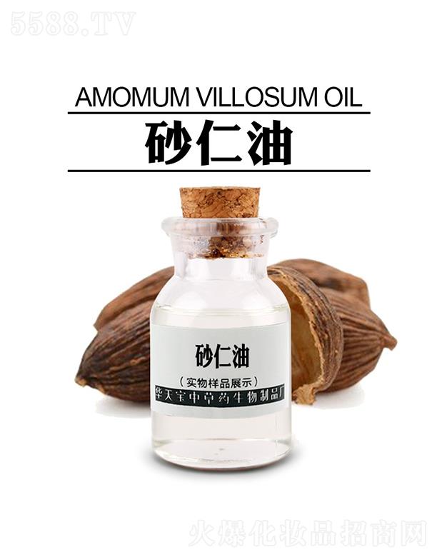 �A�쌚ɰ����