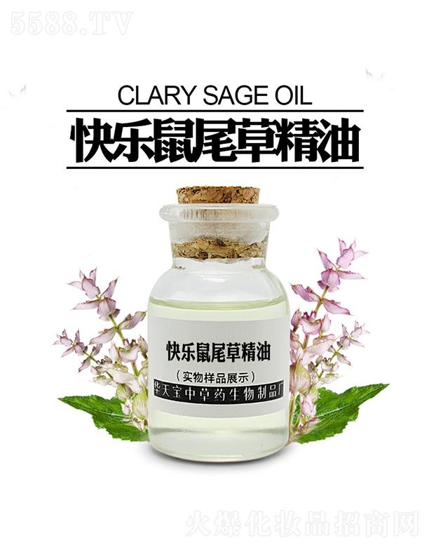 �A�쌚�옷��β�ݾ���