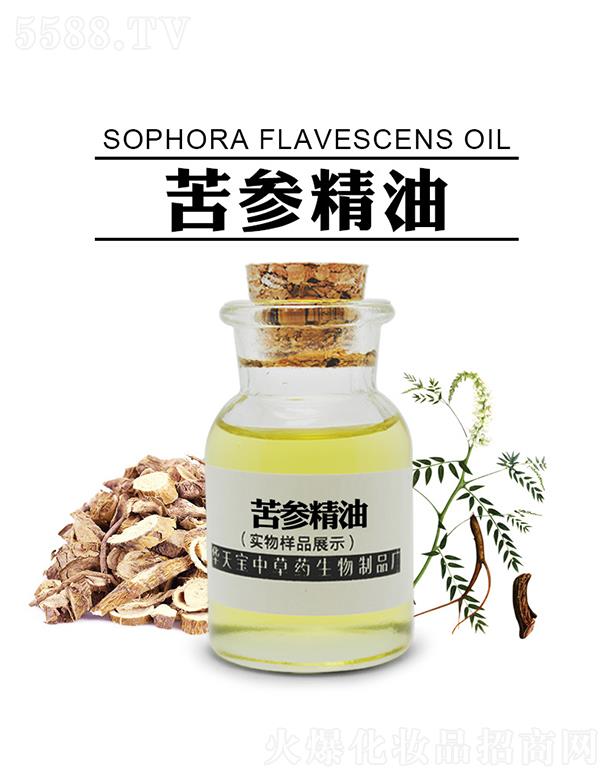 �A�쌚��������