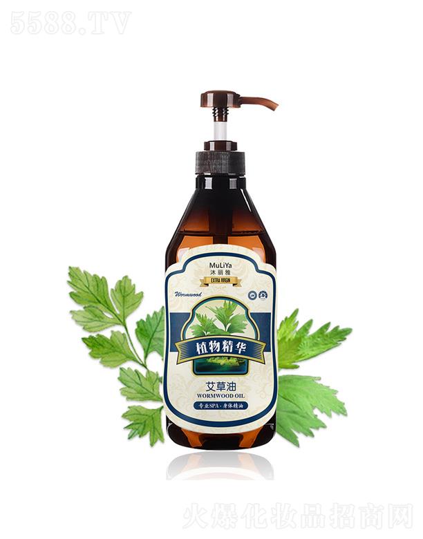 �����Ű��ݰ�Ħ��