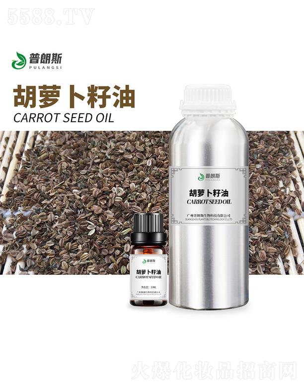 ����˹���}������