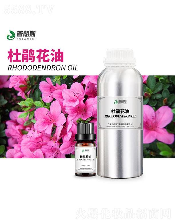 ����˹���N����