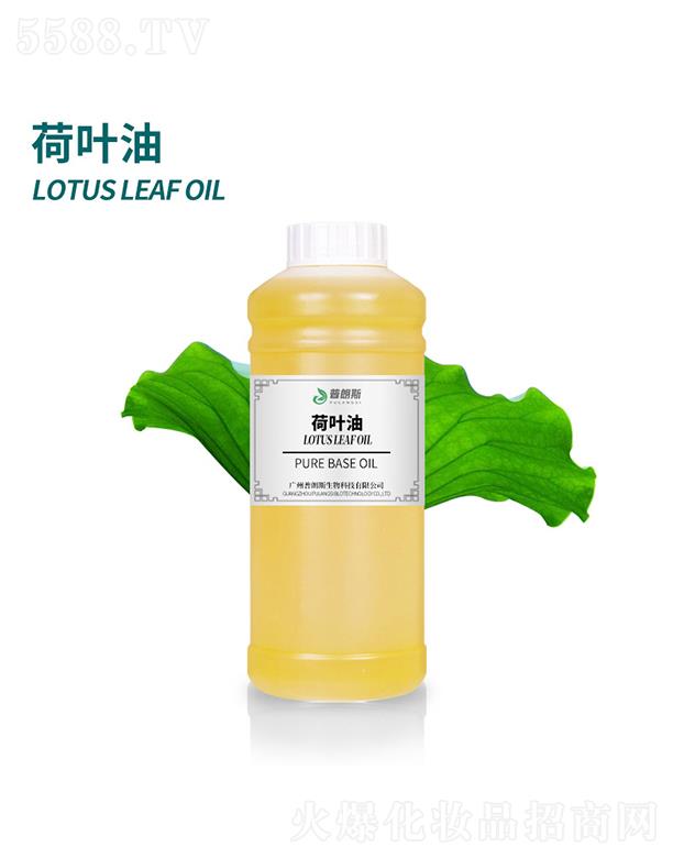 ����˹���~��