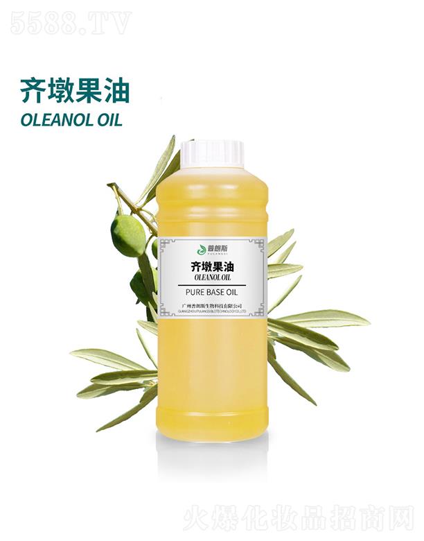 ����˹�R�չ���