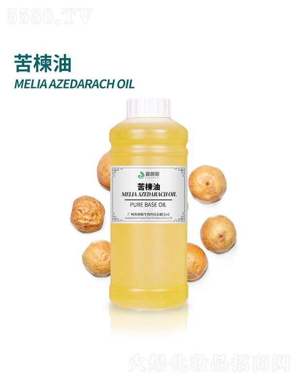 ����˹�����