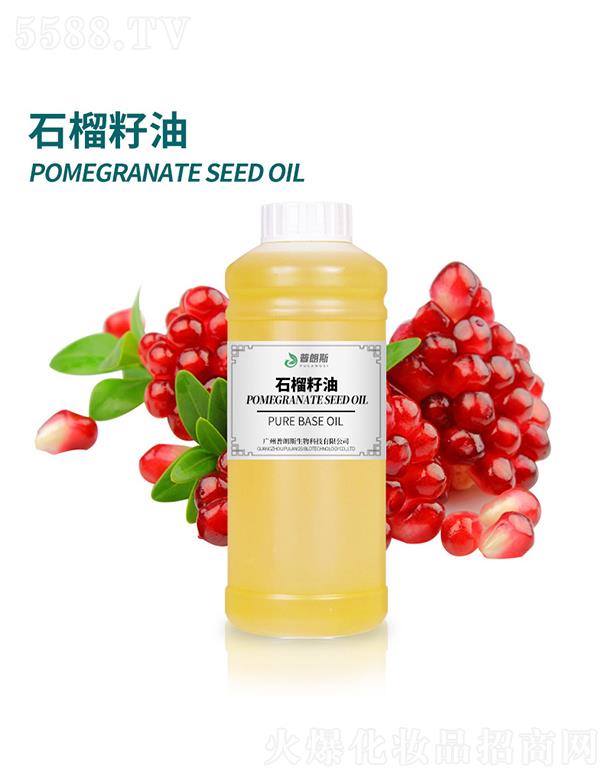 ����˹ʯ������