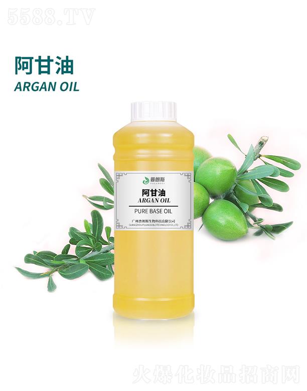 ����˹������