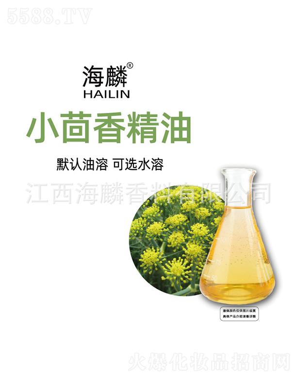 ����С���㾫��