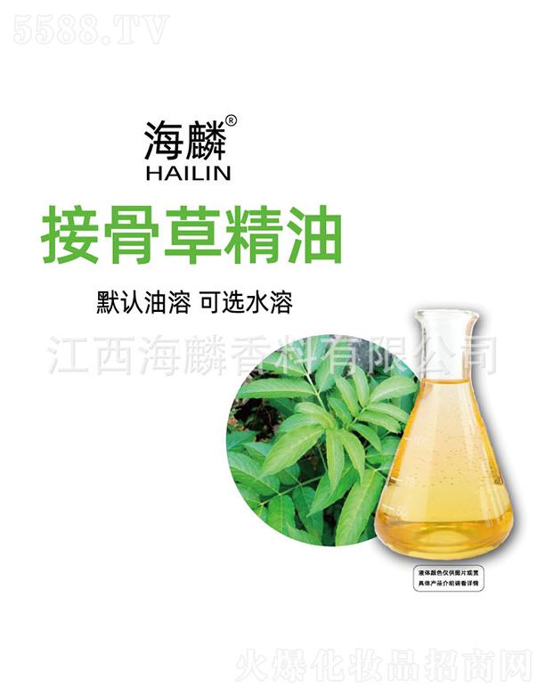 ����ӹǲݾ���