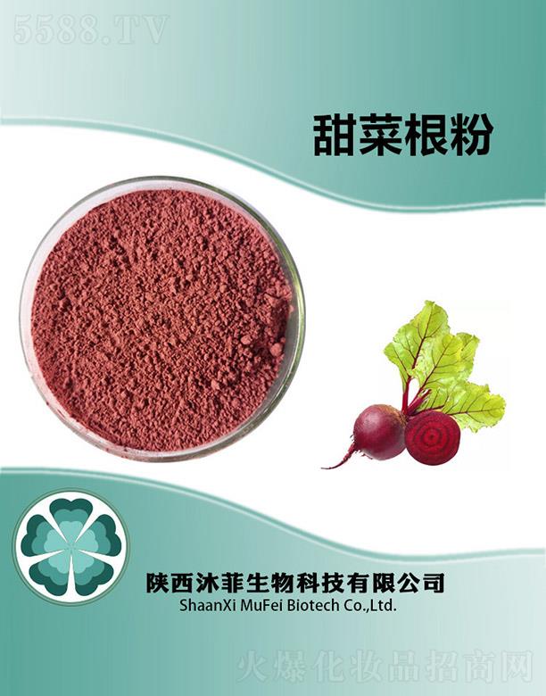 ����������Ƽ����޹�˾�������˸���