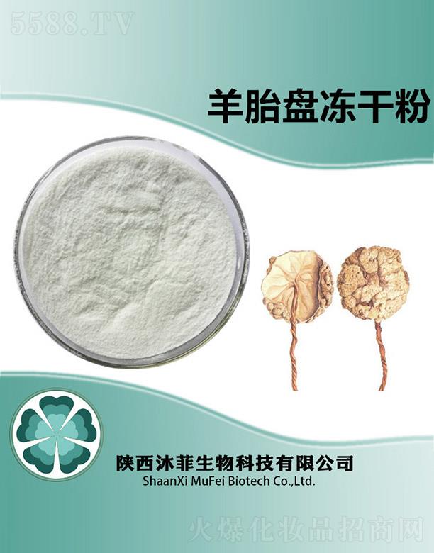 ����������Ƽ����޹�˾�������̥�P���ɷ�