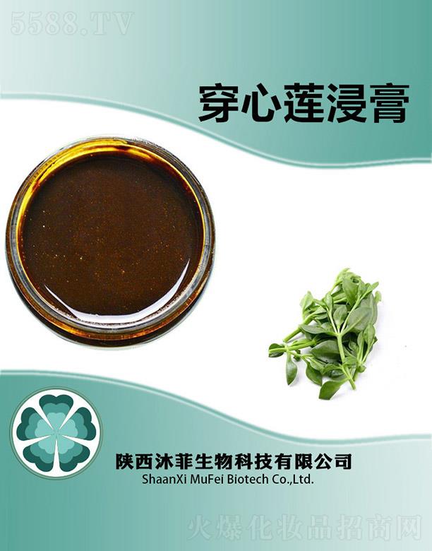 ����������Ƽ����޹�˾����ƴ���ɏ����